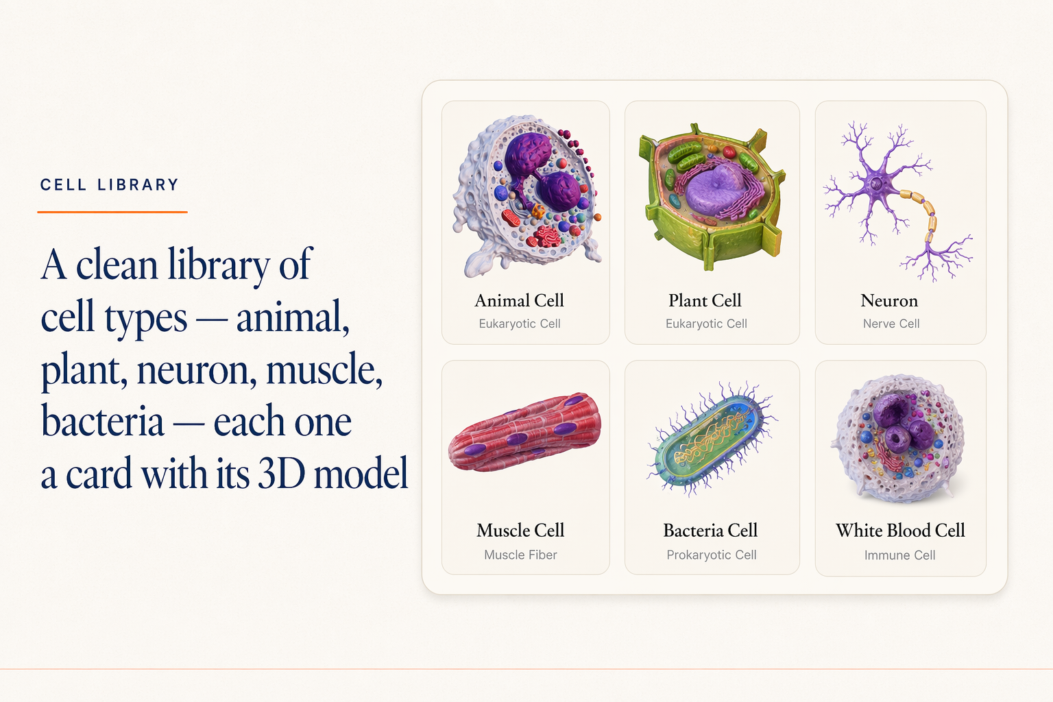 A clean library of cell types, each one a card with its 3D model.